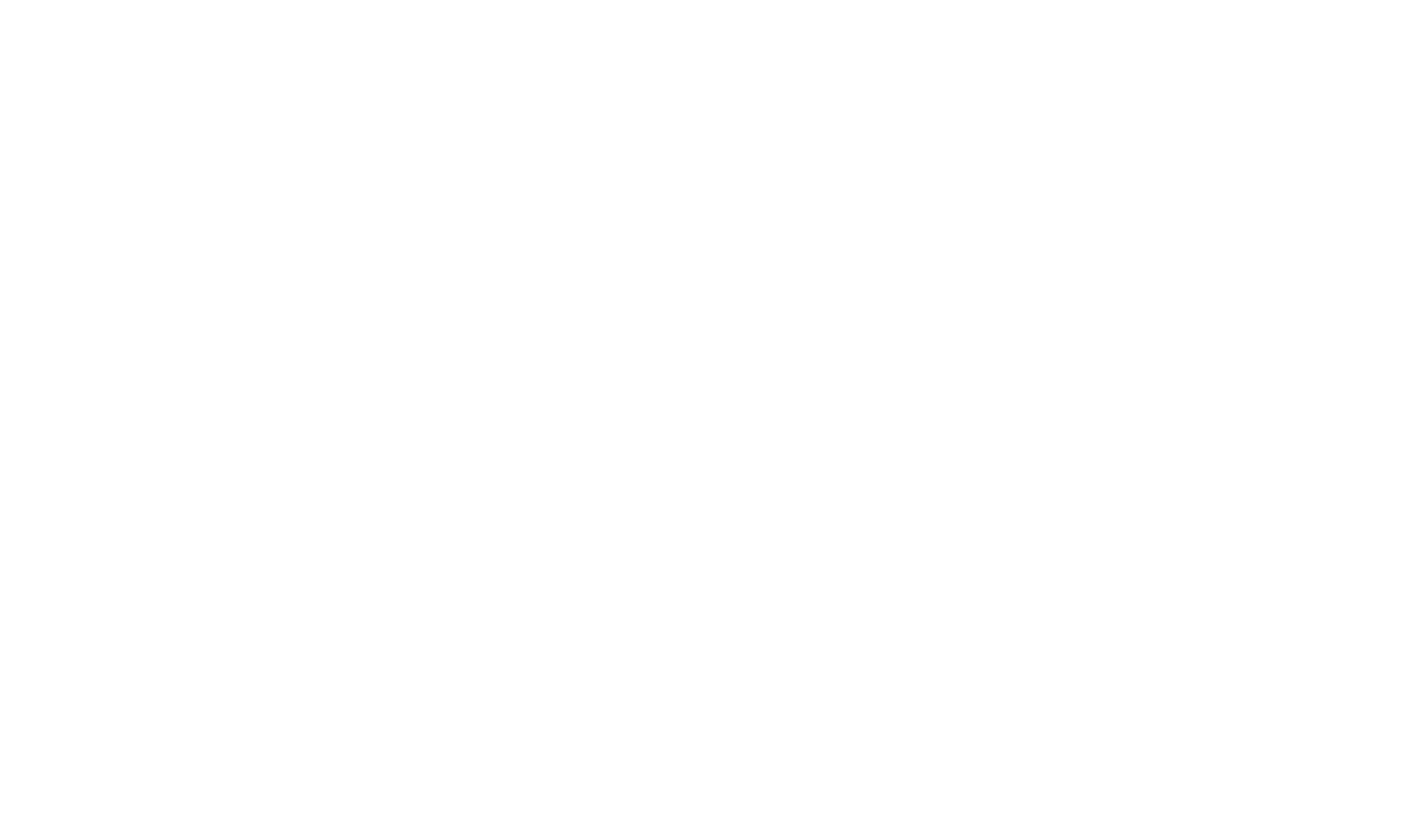 the HARLEM Social Club CV